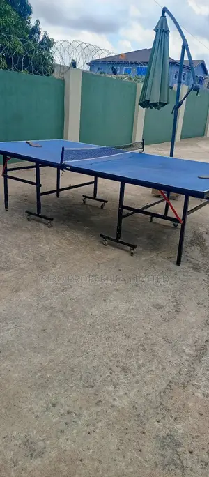 Table Tennis