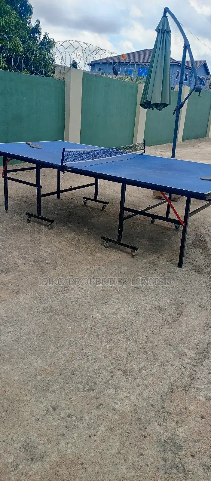 Table Tennis