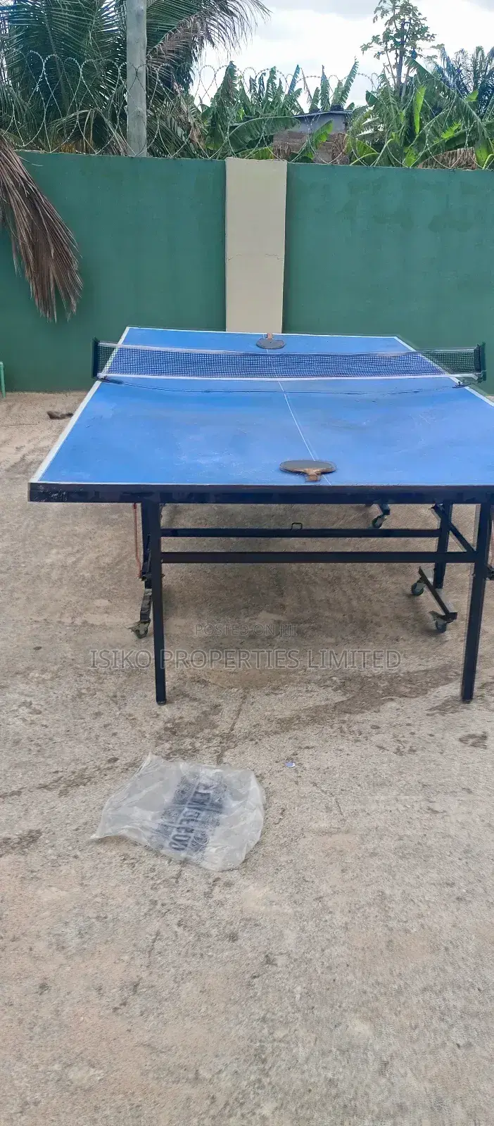 Table Tennis