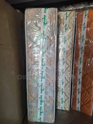18” Queen Mattress