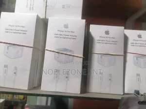 Original iPhones Charger