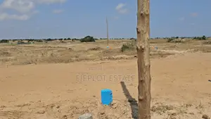 Limited-Time Plots at Tsopoli Skyport City — Don’T Miss Out