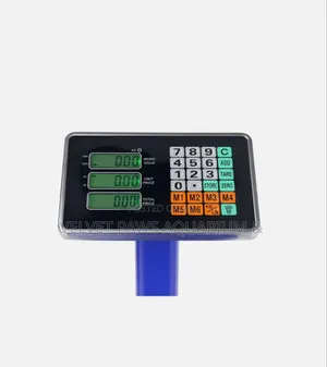 300 Kg Digital Scale