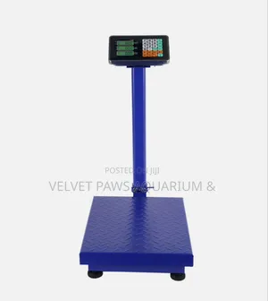 300 Kg Digital Scale