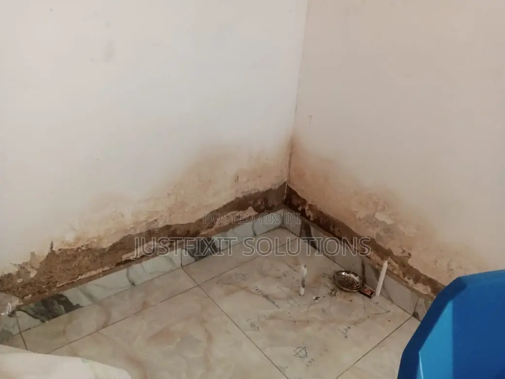 Mold, Rising Damp Wall Treatment, Painting Experts in Spintex