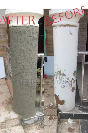 Mold, Rising Damp Wall Treatment, Painting Experts in Spintex