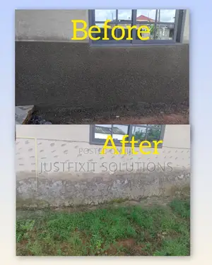 Mold, Rising Damp Wall Treatment, Painting Experts in Spintex