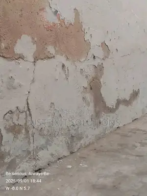 Mold, Rising Damp Wall Treatment, Painting Experts in Spintex