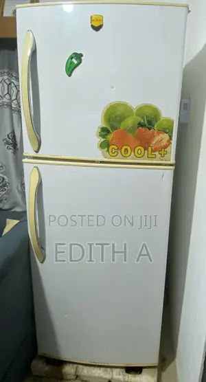 Double Door Refrigerator