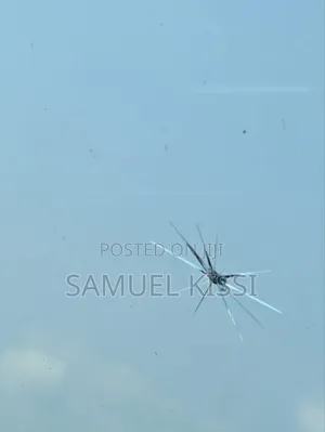 Windscreen Repair Shop