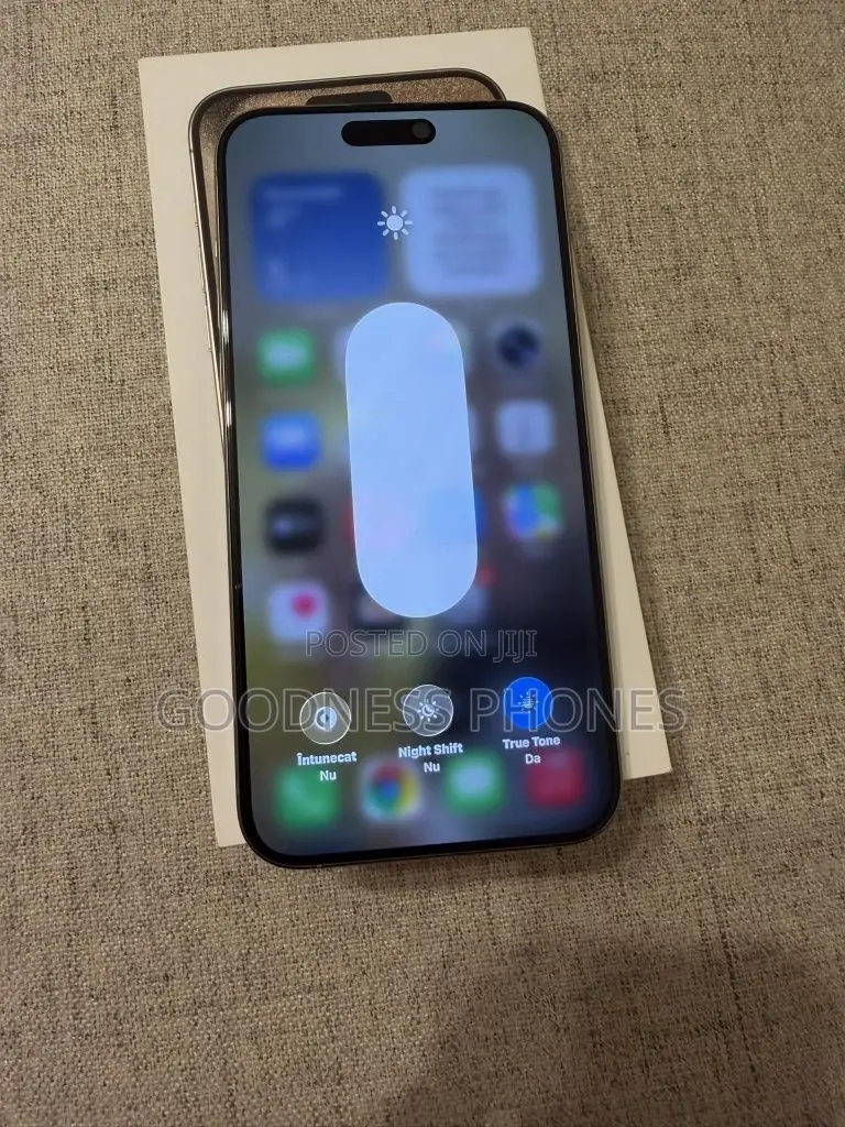 Apple iPhone 15 Pro Max 256 GB Silver