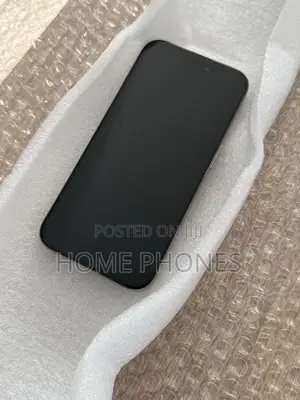Apple iPhone 15 Pro Max 256 GB Silver