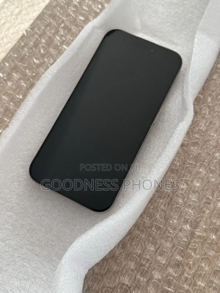 Apple iPhone 15 Pro Max 256 GB Silver