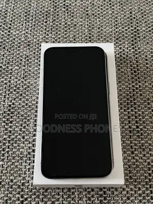 Apple iPhone 15 Pro Max 256 GB Silver