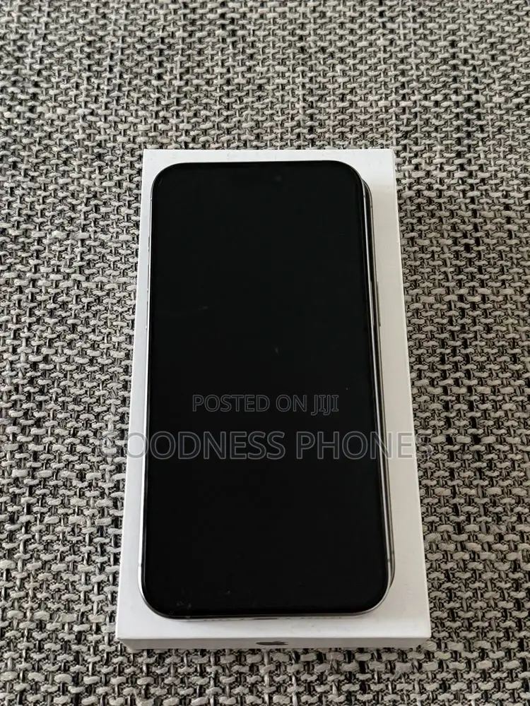 Apple iPhone 15 Pro Max 256 GB Silver