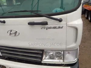 Hyundai Gold 5ton Double Axle