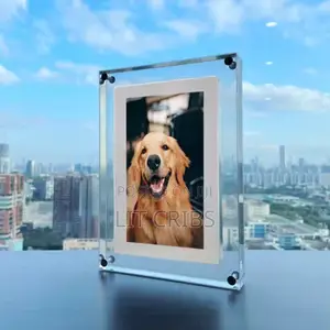 Digital Video Frame