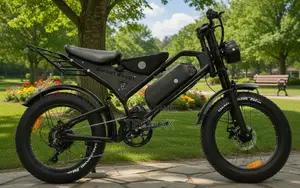 Electric Bicycle