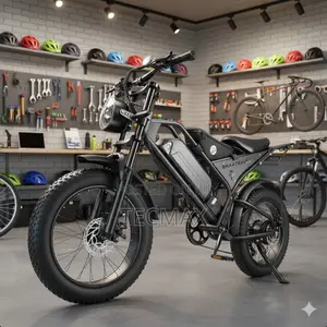Electric Bicycle