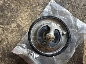 Hyundai Tucson Original Thermostat