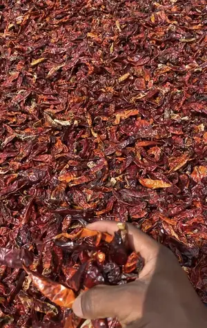 Dried Chilli Pepper Available
