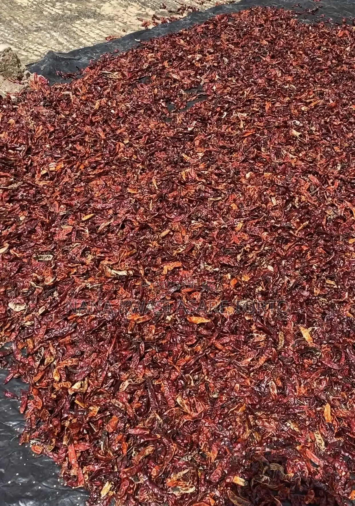 Dried Chilli Pepper Available