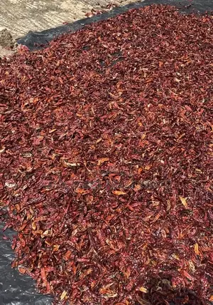 Dried Chilli Pepper Available