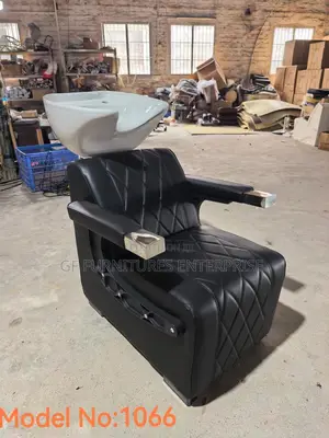 Professional Salon Backwash Shampoo Unit