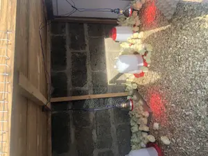 All Poultry Equipment and Housing
