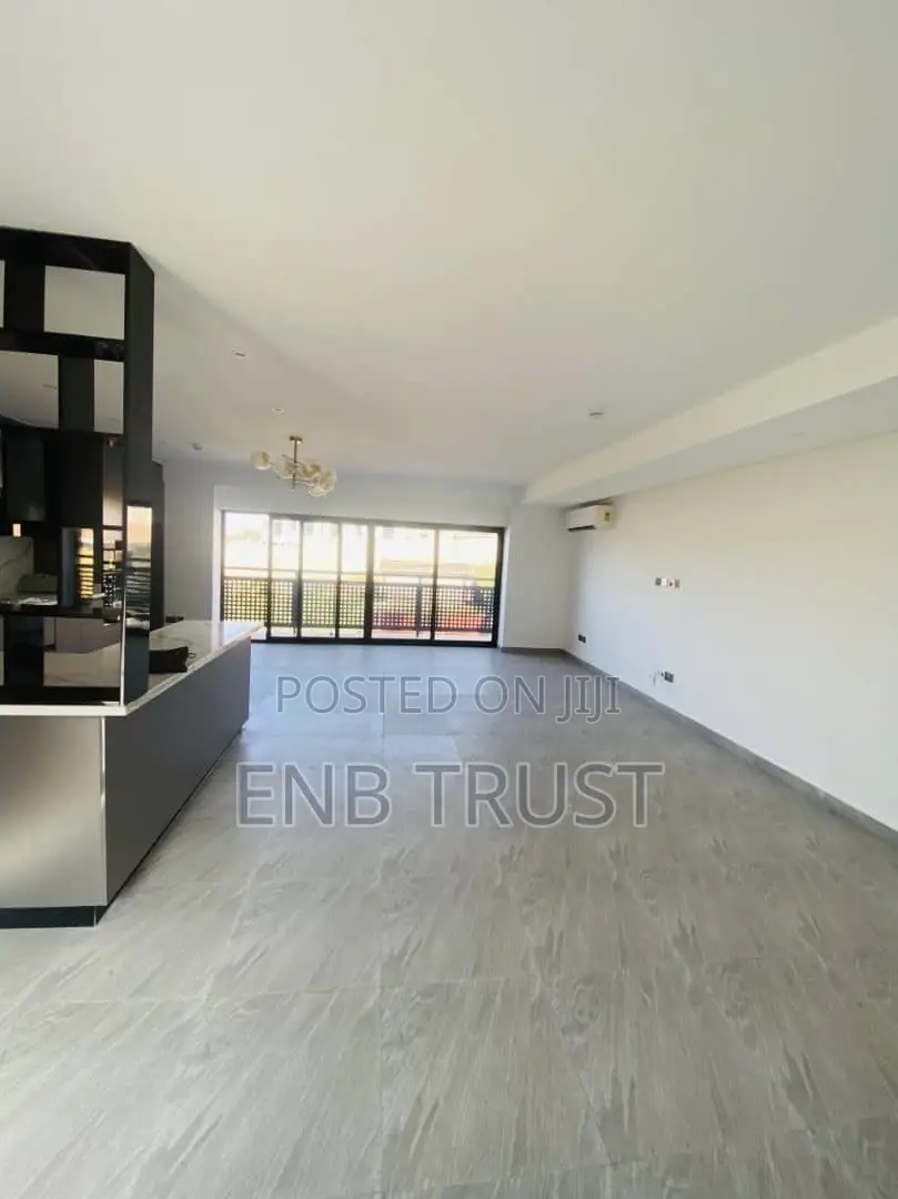 2bdrm Apartment in Dzowulu, Dzorwulu for rent