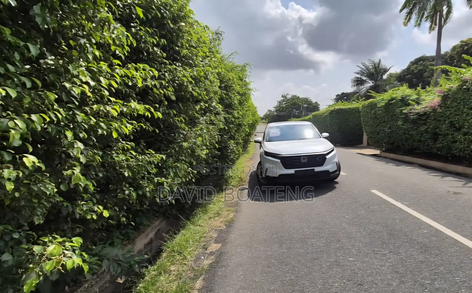 New Honda CR-V EX AWD 2025 White