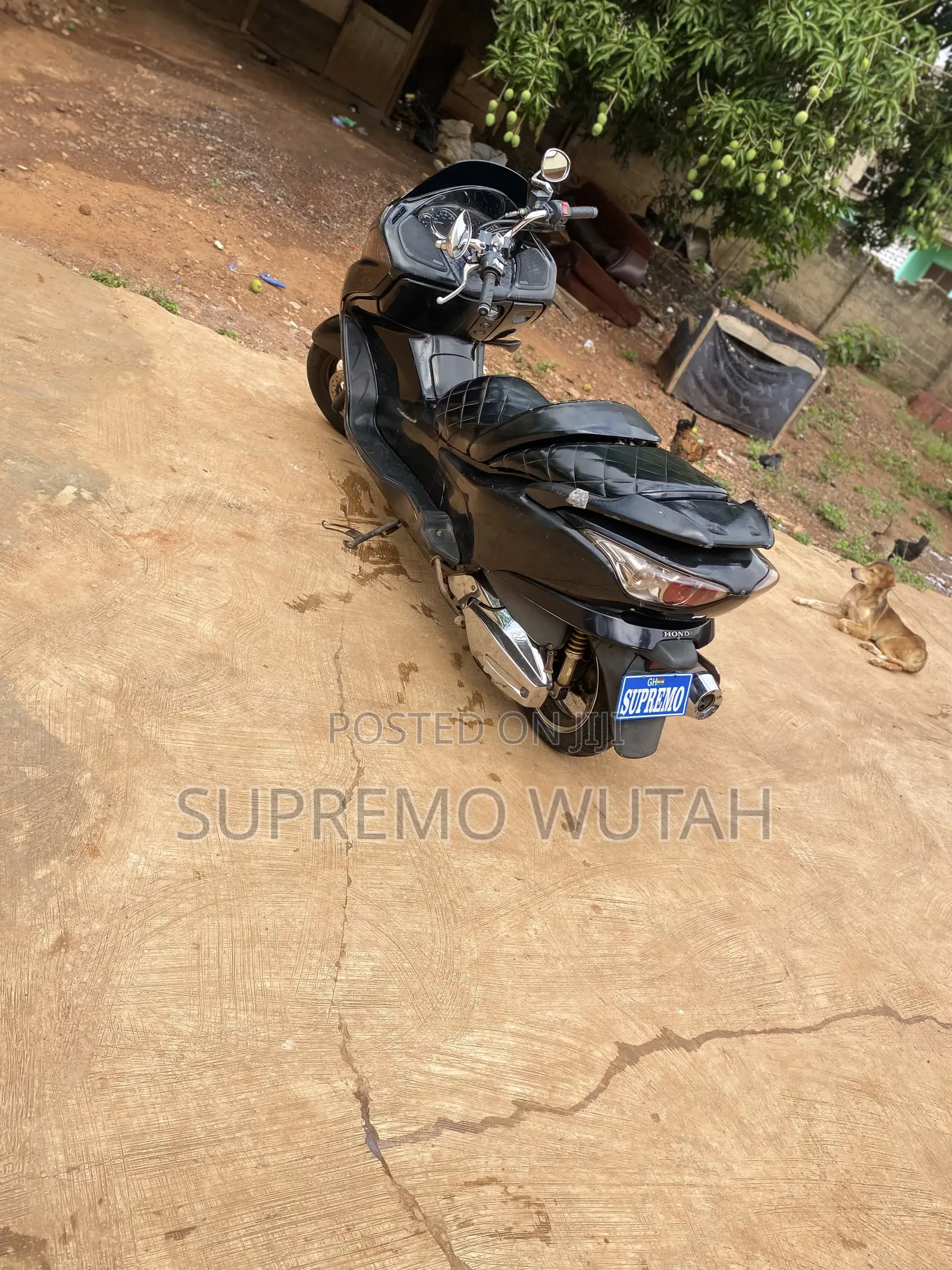 Honda Forza 2007 Black