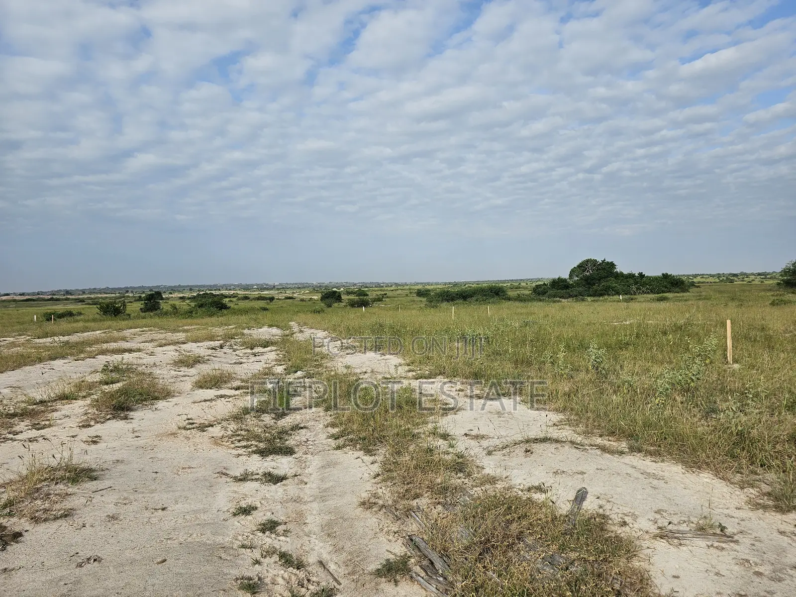 Half Plot With Free Land Documentation Available at Tsopoli Phase 4