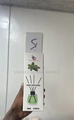 Reed Air Diffuser (Mint)