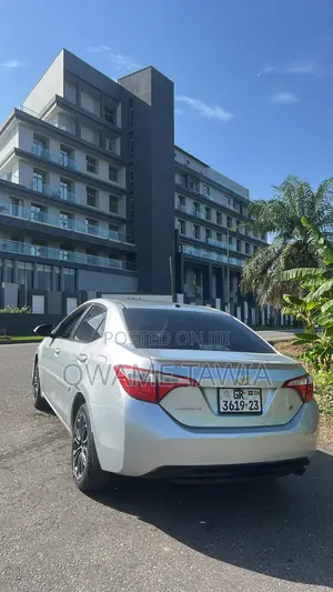 Car Rentals