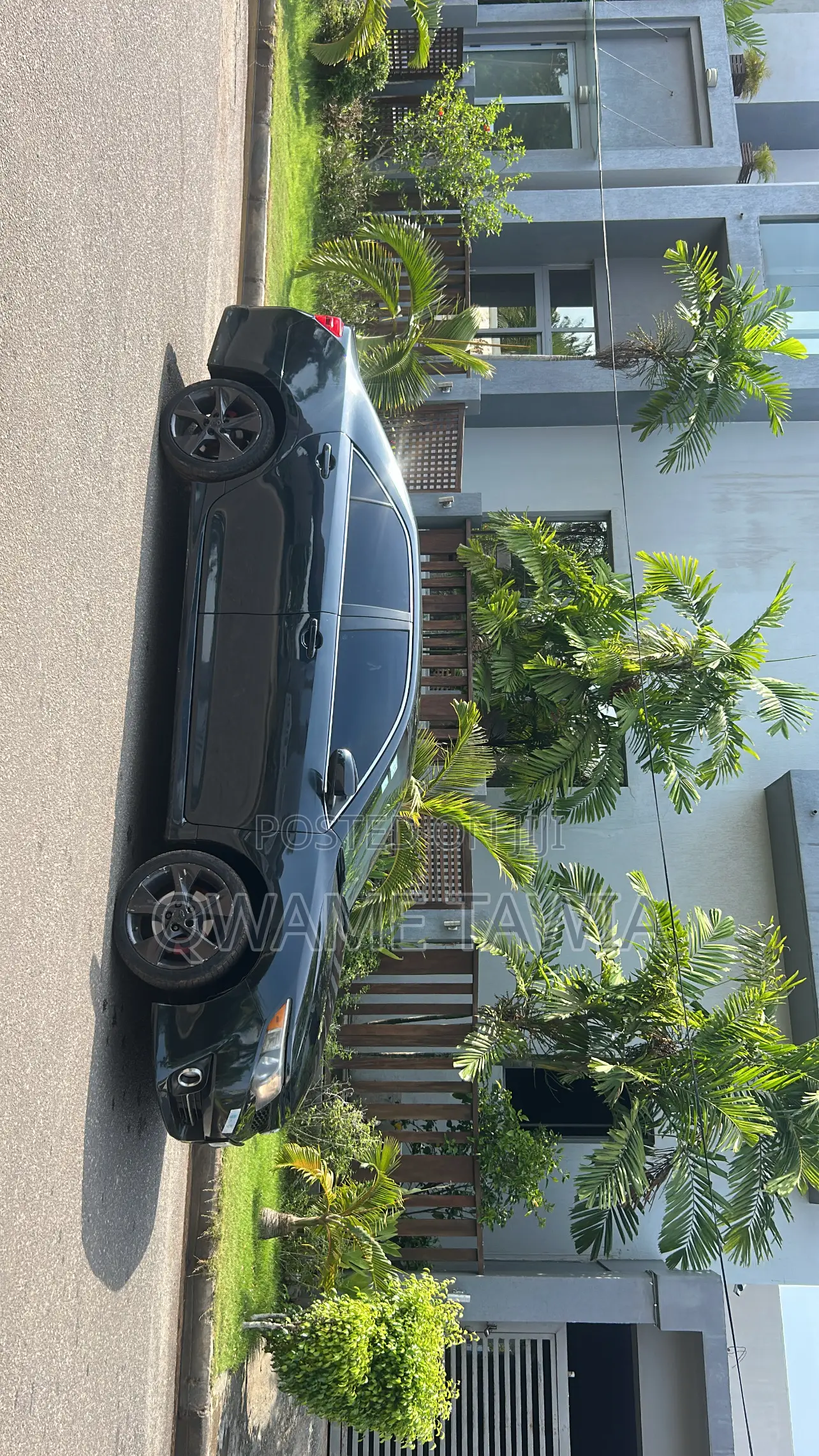 Car Rentals