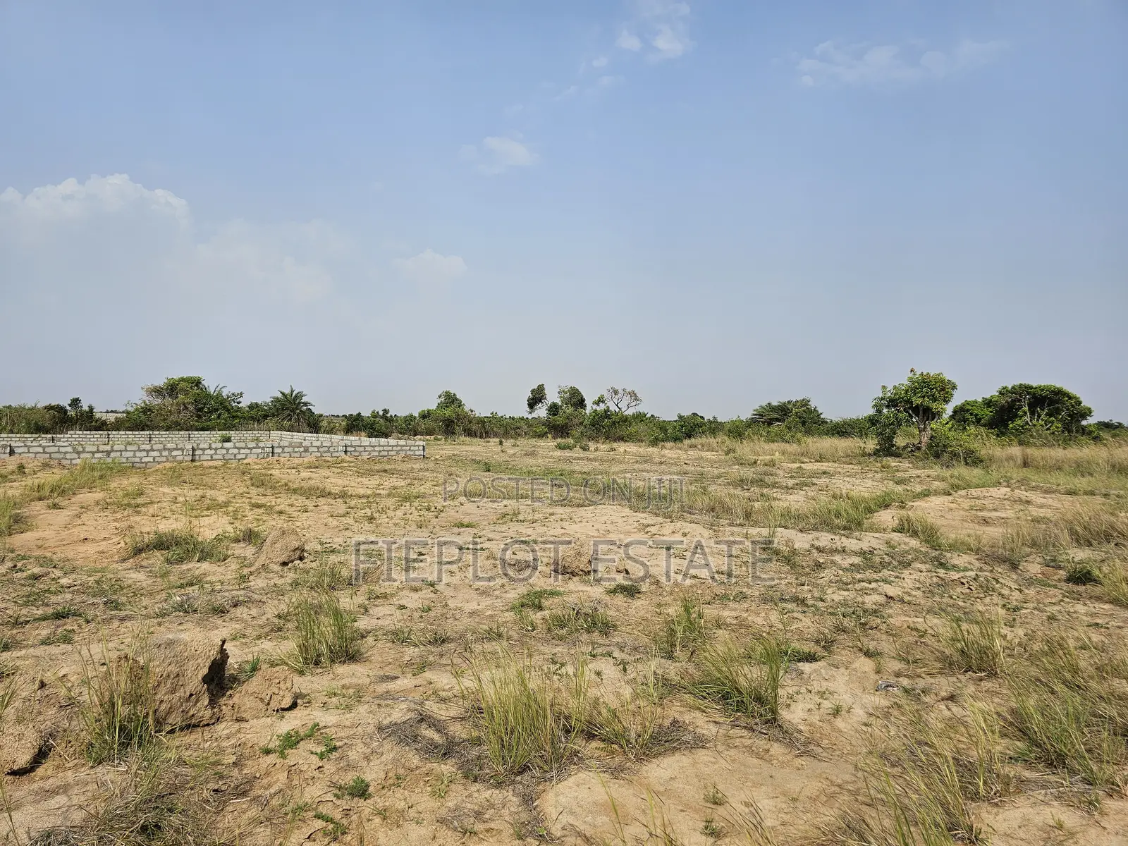 Investment-Ready Half Plots — 70x50ft at Tsopoli Skyport