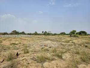 Investment-Ready Half Plots — 70x50ft at Tsopoli Skyport