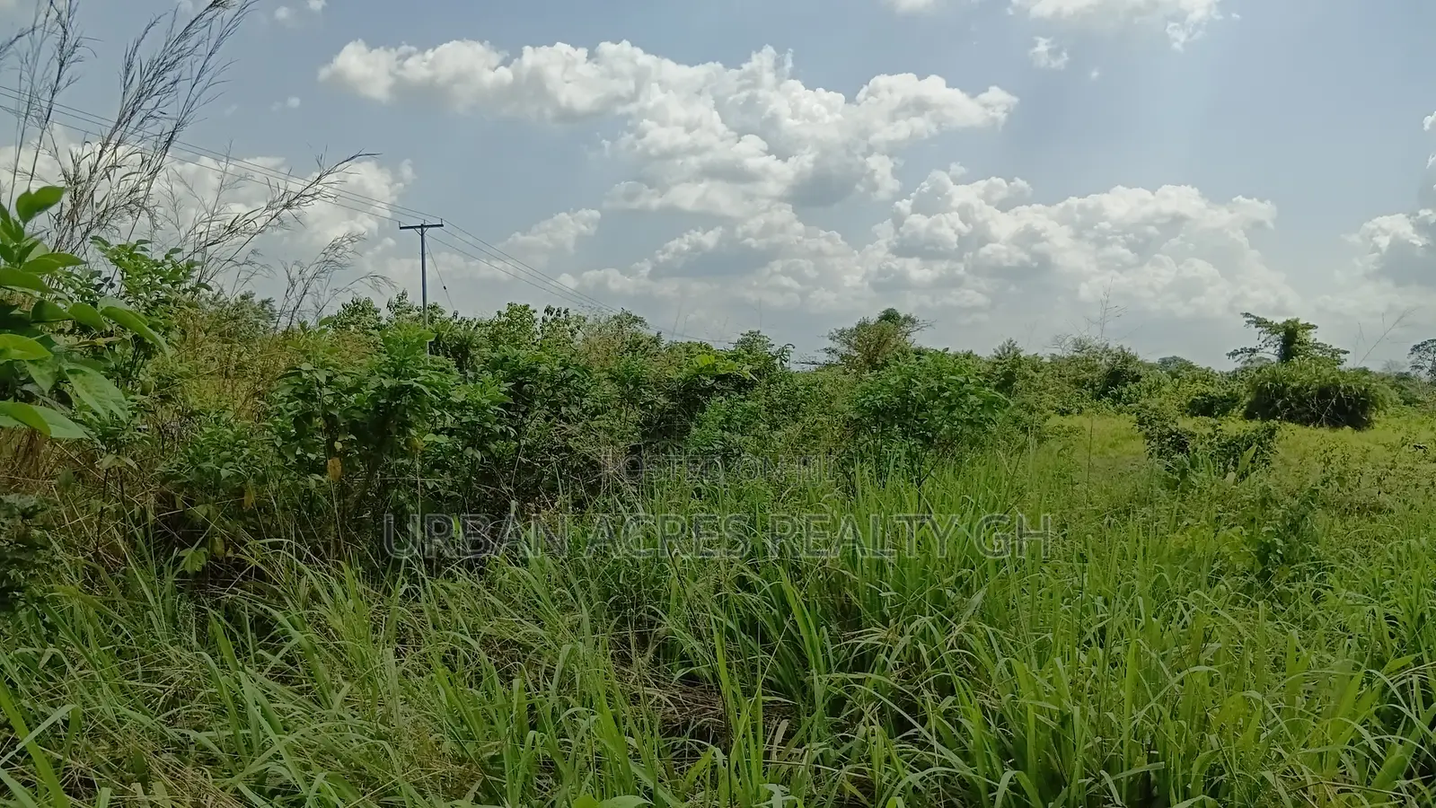 Volta Region, Ho (Adaklu Wumenu) _ 1000+ Acres Mixed-Use Land