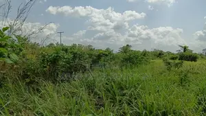 Volta Region, Ho (Adaklu Wumenu) _ 1000+ Acres Mixed-Use Land