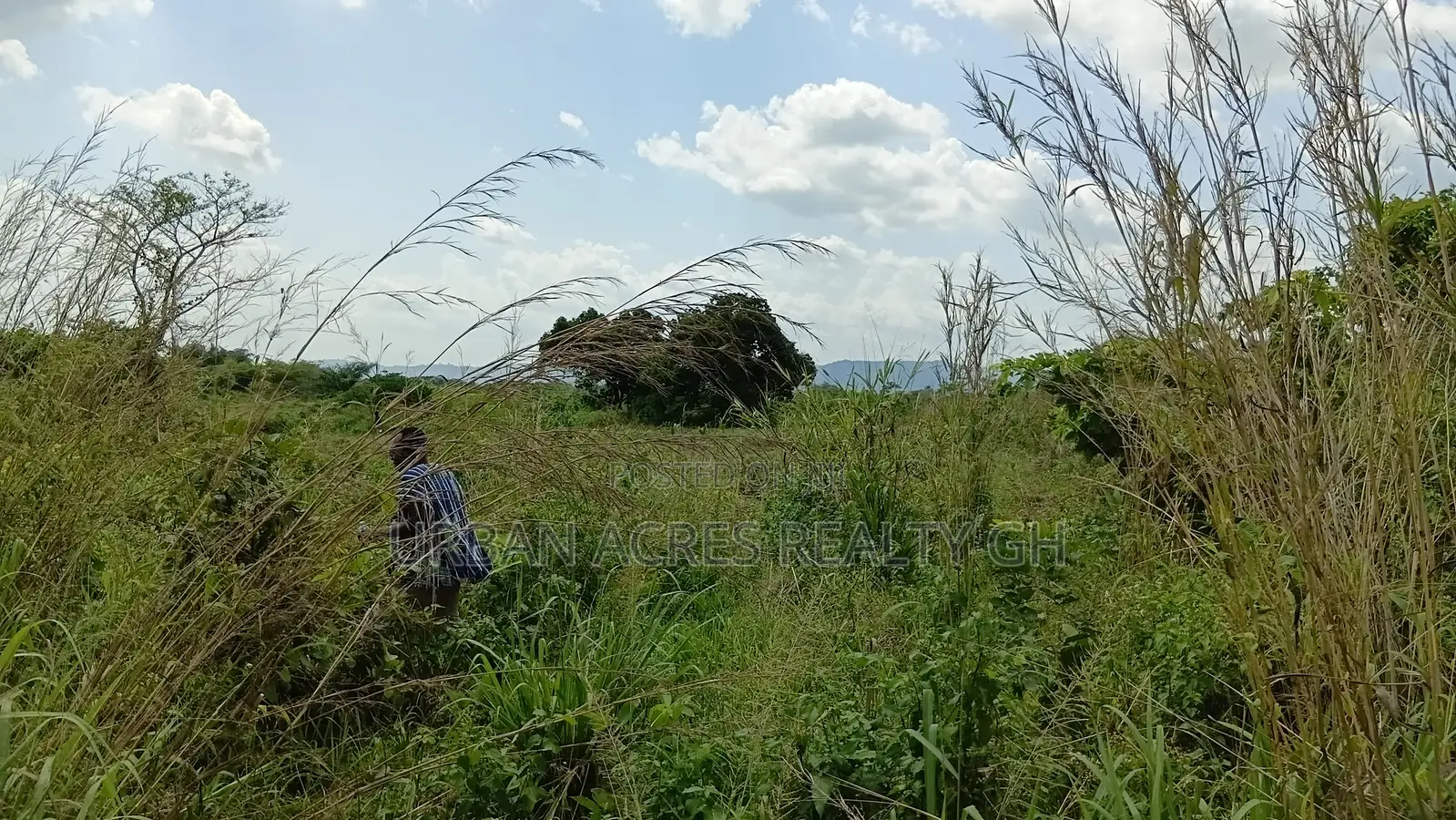 Volta Region, Ho (Adaklu Wumenu) _ 1000+ Acres Mixed-Use Land