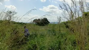 Volta Region, Ho (Adaklu Wumenu) _ 1000+ Acres Mixed-Use Land