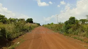 Volta Region, Adaklu (Dzakpo) _ 6 Plots Commercial Land