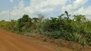 Volta Region, Adaklu (Dzakpo) _ 6 Plots Commercial Land