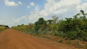 Volta Region, Adaklu (Dzakpo) _ 6 Plots Commercial Land