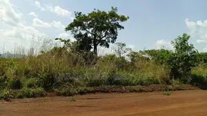 Volta Region, Adaklu (Dzakpo) _ 6 Plots Commercial Land