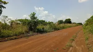 Volta Region, Adaklu (Dzakpo) _ 6 Plots Commercial Land