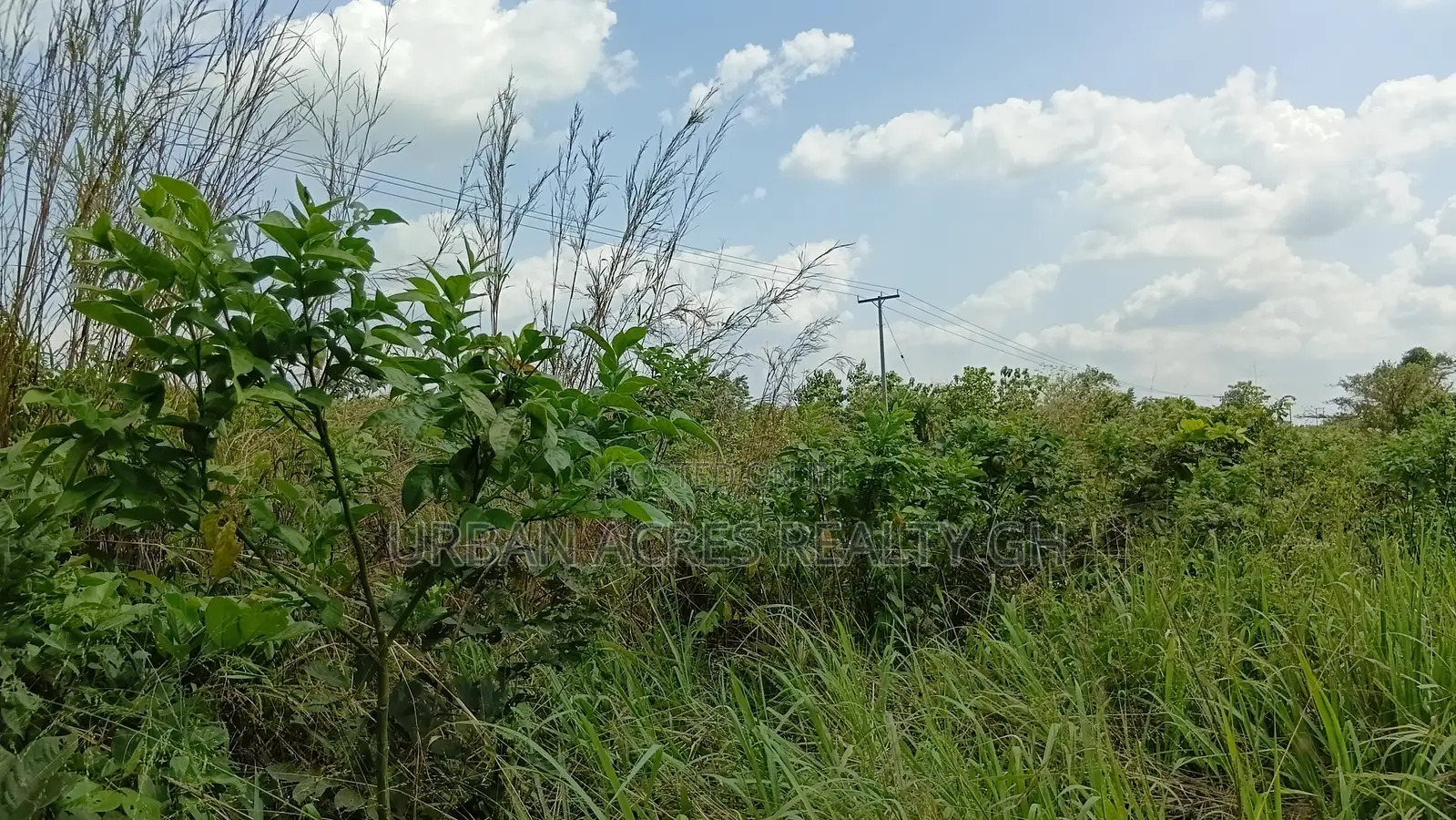 Volta Region, Adaklu (Dzakpo) _ 6 Plots Commercial Land