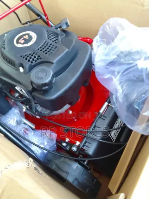 Ecool Max Lawn Mower 4.5hp