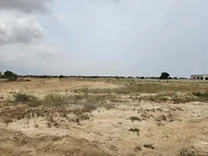 Invest in Litigation-Free Half Plot Land at Tsopoli Skyport City